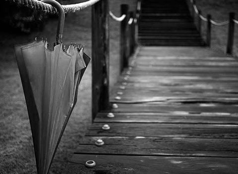 天天陪着您的云呼叫中心